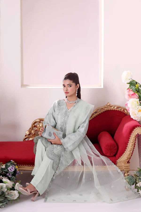 Zunn by Dressline 3 Piece Semi Stitched Organza with Clutch 14198-A