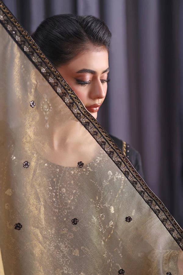 Orchid by Dressline 3 Piece Semi Stitched Organza with Clutch 8090-D